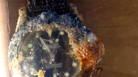matt cuddihy rolex